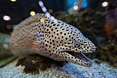 《星空》玩家10分钟跑到星球地图边界 引起网上热议