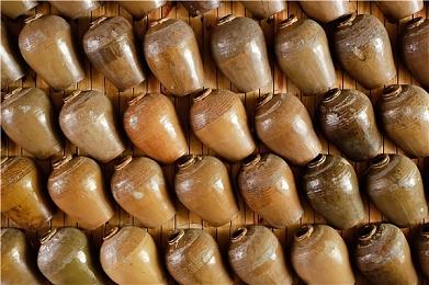 《魔咒之地》“魔法战斗”介绍视频 中文字幕